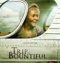 The Trip to Bountiful 2014 HDTV