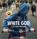 Feher Isten / White God (2014)