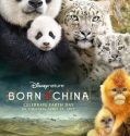 Born in China (2016)