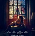 Wonder Wheel (2017)