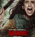 Bhoomi (2017)