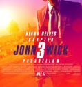 JOHN WICK: CHAPTER 3 PARABELLUM (JOHN WICK 3) (2019)