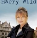 Harry Wild (2022-)