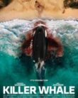 KILLER WHALE (2026)